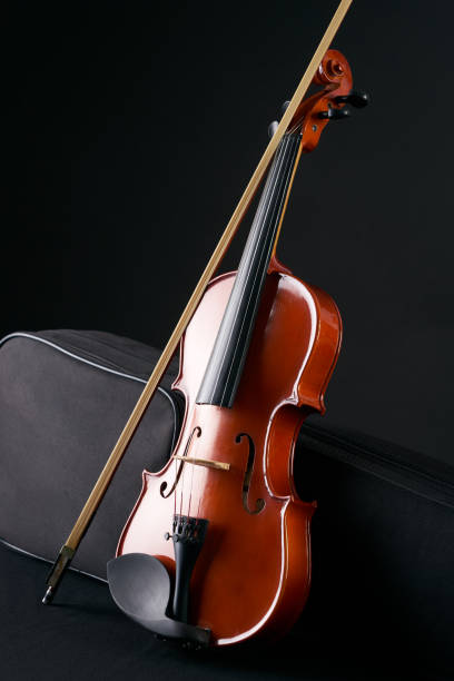 istock Classical wooden Violin with molded carrying black case. 698005786