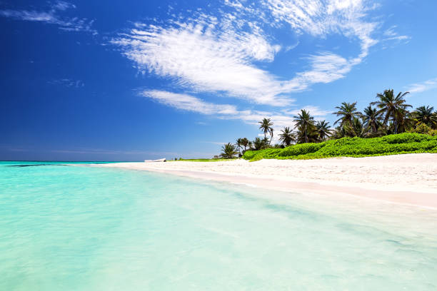 istock Beautiful tropical white beach and coconut palm trees 698005946