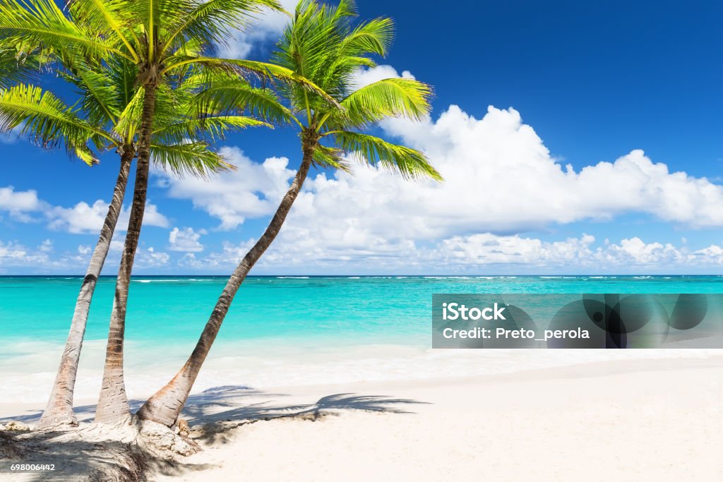 Beautiful tropical white beach and coconut palm trees Beautiful tropical white beach and coconut palm trees. Holiday and vacation concept. Beach Stock Photo