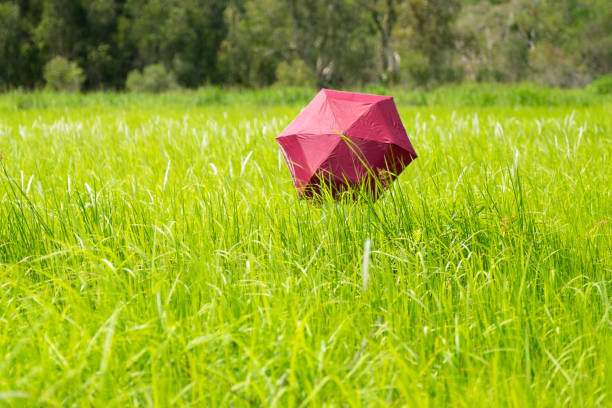 istock Red umbrella in a green grass field 698012370