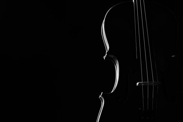 Violin classical music instrument close-up. Violin classical music instrument close-up. Stringed musical instrument violin isolated on black background with copy space. Classical orchestra instruments fiddle close up symphony orchestra photos stock pictures, royalty-free photos & images