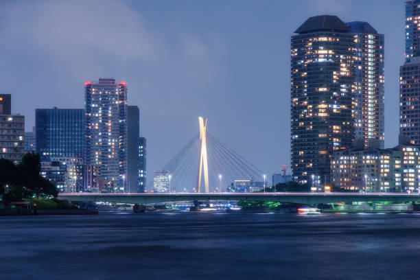 istock Night Scene of Tokyo 698017000