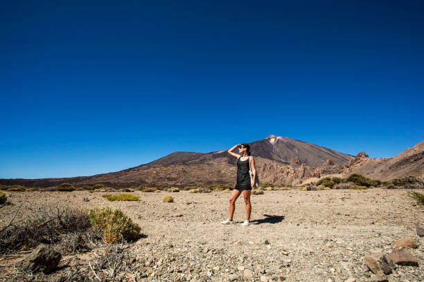 istock View of volcano Mount Teide 698025490
