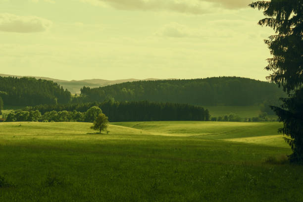 istock Nature landscape in green tones 698025932