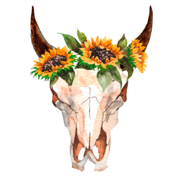 istock Watercolor isolated bull's head with flowers and feathers on white background. Boho style. Skull for wrapping, wallpaper, t-shir 698031592
