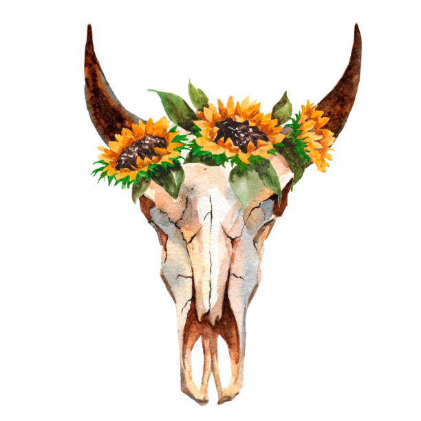 istock Watercolor isolated bull's head with flowers and feathers on white background. Boho style. Skull for wrapping, wallpaper, t-shir 698033986
