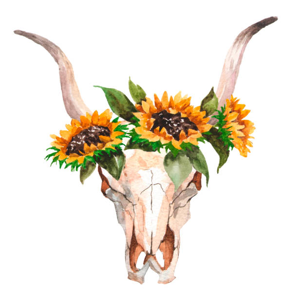 istock Watercolor isolated bull's head with flowers and feathers on white background. Boho style. Skull for wrapping, wallpaper, t-shir 698034640