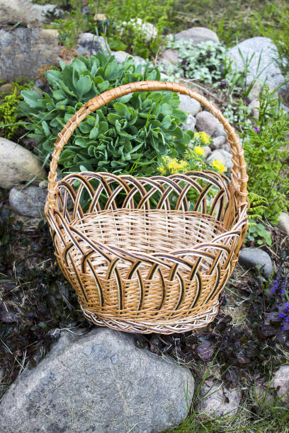 istock Wicker basket in the garden on an alpine hill 698035000