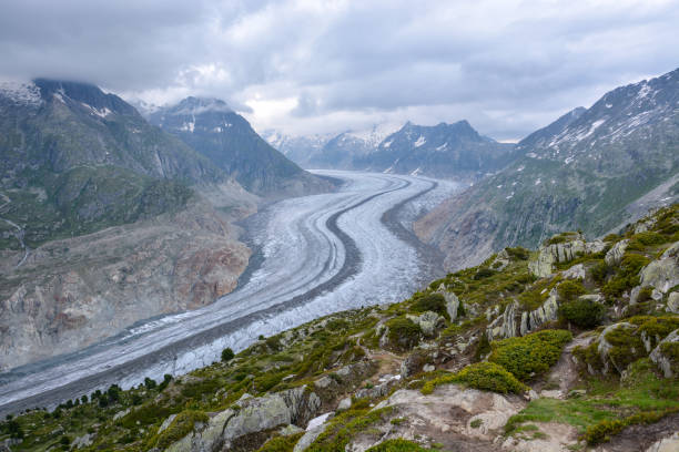 lodowiec aletschgletscher w szwajcarii w lecie - eggishorn zdjęcia i obrazy z banku zdjęć