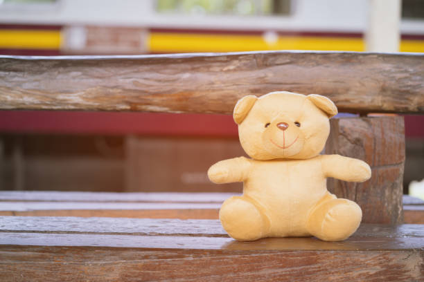 istock Teddy bear sit and waiting at the Wooden bench. 698035624