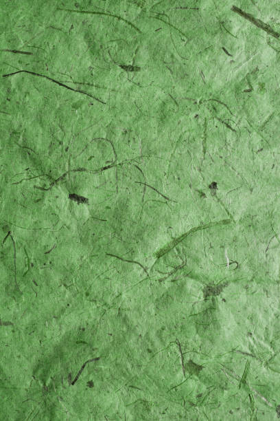 istock Green paper texture. Paper background. Recycled paper texture and background. Abstract  background and texture for designers. Old vintage paper. Green texture. 698047848