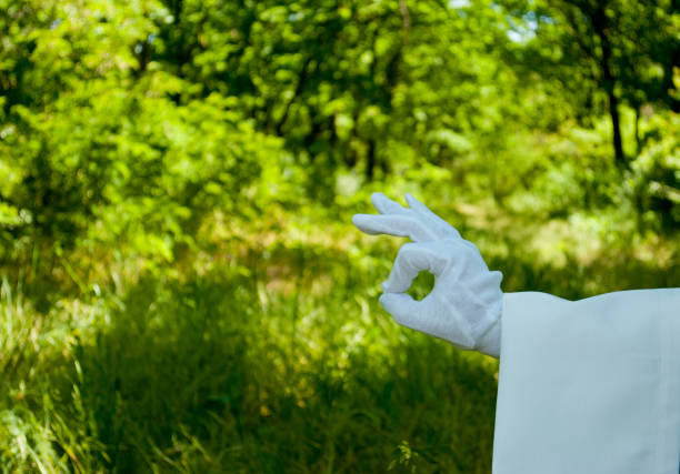 mano di un cameriere in un guanto bianco che mostra un segno su uno sfondo naturale - hand sign human hand ok sign grass foto e immagini stock