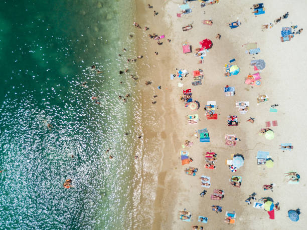 istock Top View of Umbrellas in a Beach 698048242
