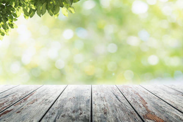 istock Empty wooden table with party in garden background blurred. 698058668