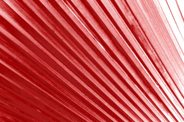 Red background created from picture of palm leaf surface.