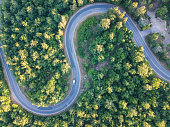 Road trip through a forest - Aerial point of view