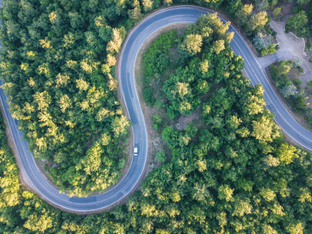road trip through a forest - aerial point of view - vista aérea de carro isolado imagens e fotografias de stock