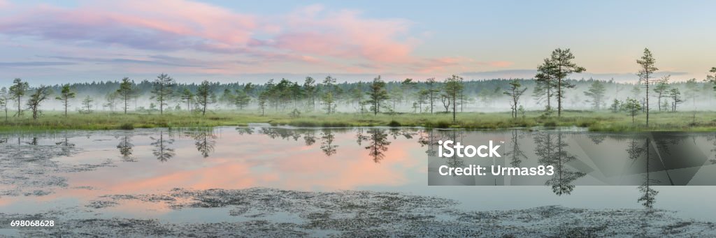 Bog landscape in the morning Early morning in the bog, misty weather, rising sun, beautiful colors Bog Stock Photo