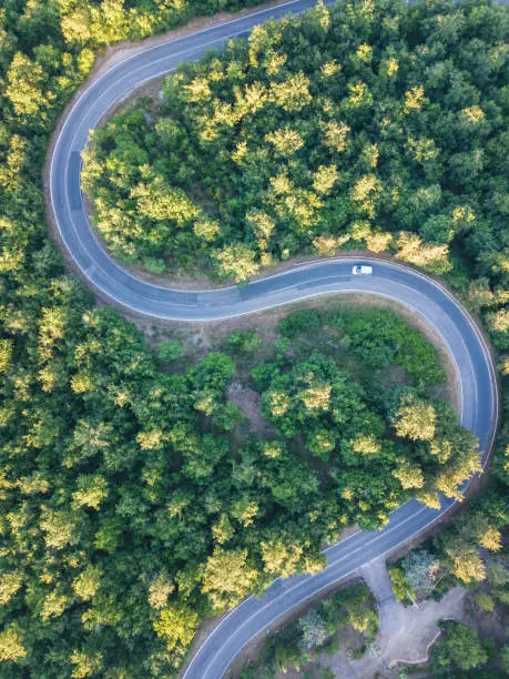 Road trip through a forest - Aerial point of view