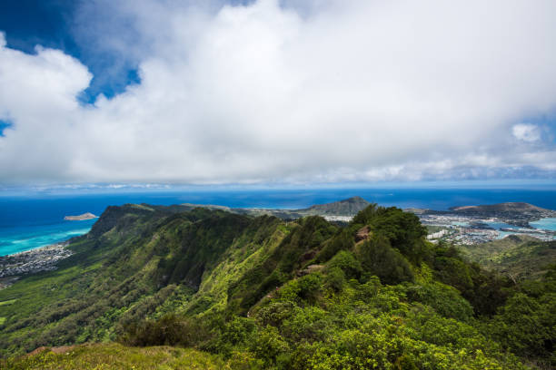 Ridgeline in the Honolulu Watershed Forest Reserve, Oahu, Hawaii