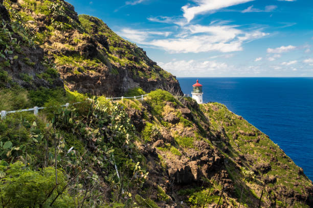 istock Makapu'u Point Lighthouse, Oahu, Hawaii 698073400