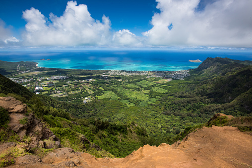 Honolulu Watershed Forest Reserve peak of Kuliouou Ridge