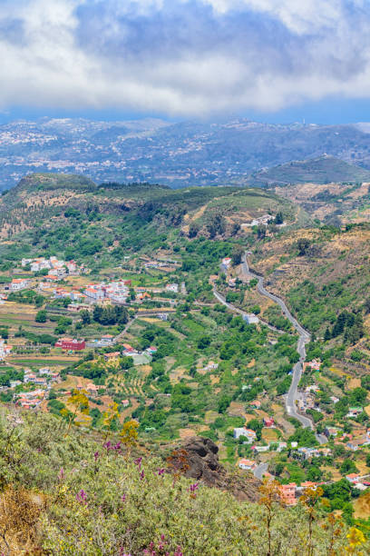 istock Living on Gran Canaria 698078826