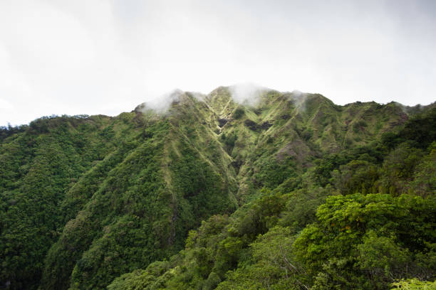 istock Mountain peaks in the clouds, Honolulu Watershed Forest Reserve, Oahu, Hawaii 698079144