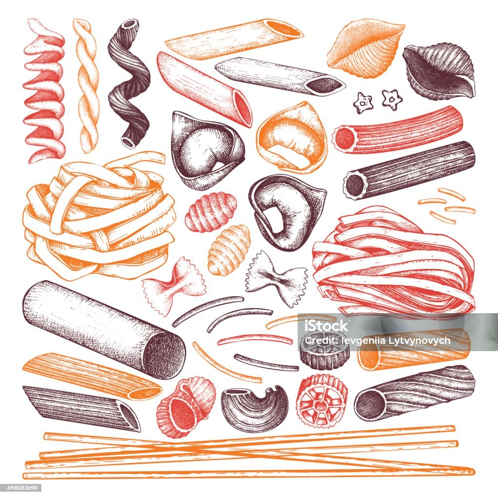 Pastasketch Realistic Pasta Sketch Collection Stock Illustration - Download Image Now - Bow ...