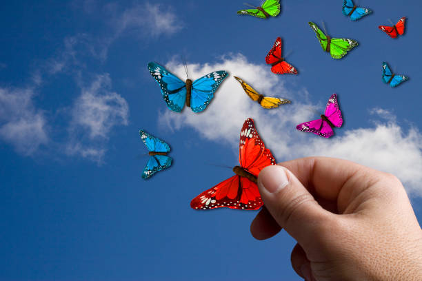 istock Human Hand and Butterflies fly through the Sky 698084102