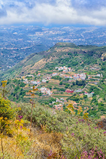 istock Living on Gran Canaria 698084560