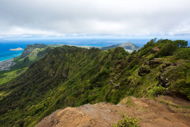 istock Ridgeline Trail, Honolulu Watershed Forest Reserve, Oahu, Hawaii 698087376