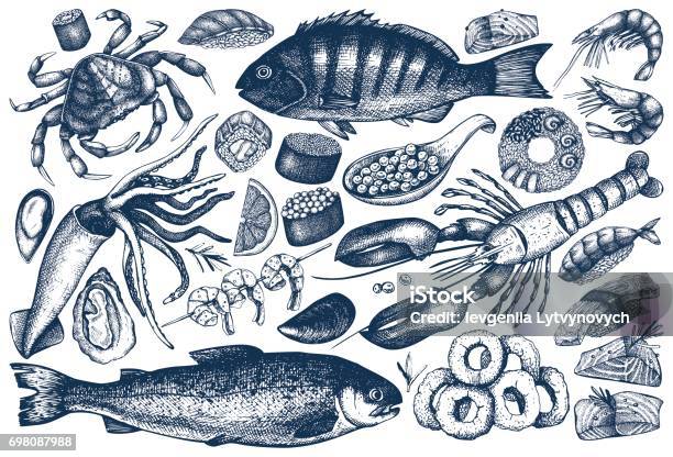 Meeresfrüchtekonturensammlung Stock Vektor Art und mehr Bilder von Fische und Meeresfrüchte - Fische und Meeresfrüchte, Illustration, Fisch
