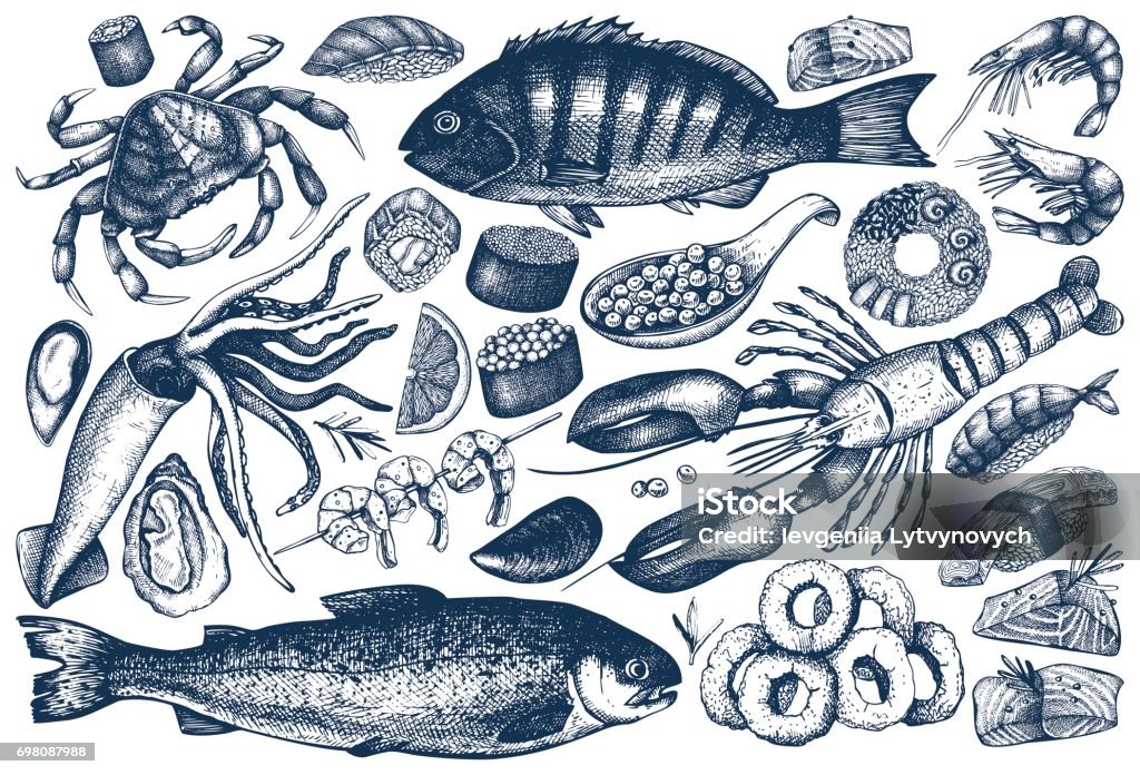 seafood outlines collection Vector collection of hand drawn Seafood illustration - fresh fish, lobster, crab, oyster, mussel, squid ring, caviar, sushi. Vintage food sketch set. Menu template Seafood stock vector