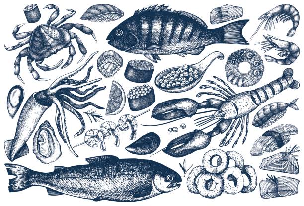 seafood outlines collection Vector collection of hand drawn Seafood illustration - fresh fish, lobster, crab, oyster, mussel, squid ring, caviar, sushi. Vintage food sketch set. Menu template seafood stock illustrations