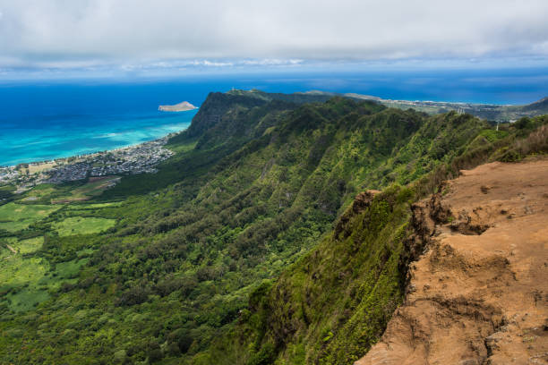 istock Peak of Kuliouou Ridge Trail, Oahu, Hawaii 698088308