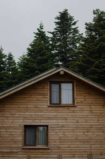 istock Wooden cottage in the forest 698091472