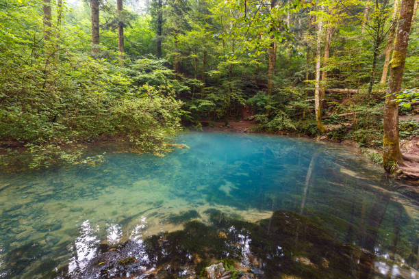 istock Ochiul Beiului lake in Romania 698094844