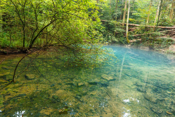 istock Ochiul Beiului lake in Romania 698095168