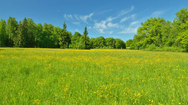 istock The natural landscape in the spring. 698099744