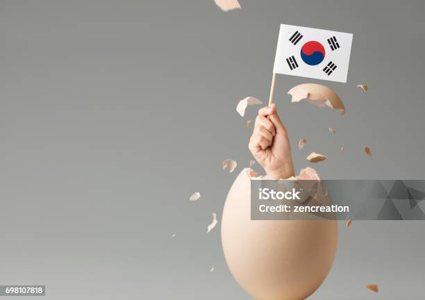 I Come From Stock Photo - Download Image Now - Animal Egg, Anticipation, Backgrounds