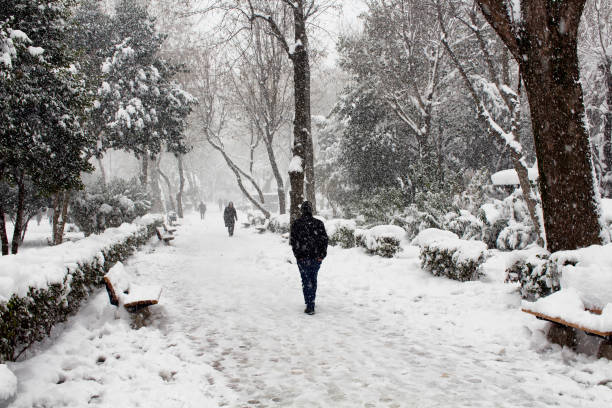 人々は「マッカ・デモクラシ - サナト・パーキ」と呼ばれる公園を歩きます。雪が激しく降る。冬と孤独の概念。 - snow winter bench park ストックフォトと画像