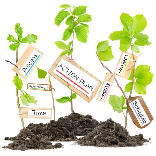 Photo of plants growing from soil heaps with ACTION PLAN conceptual words written on paper cards