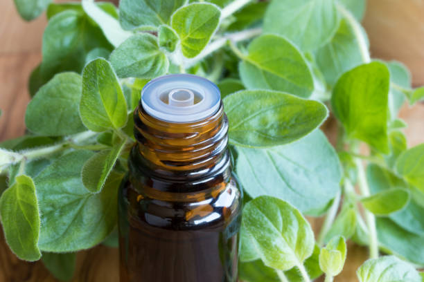 istock A bottle of oregano essential oil 698114758