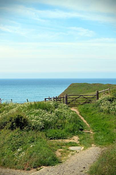 istock Scenic beautiful cliffs and landscape with sea in background in Cornwall 698117278