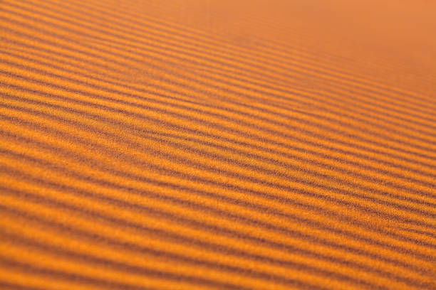istock Sand dunes in Sahara desert in Africa 698117970
