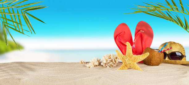 istock Tropical beach with accessories on sand, summer holiday background. 698123460