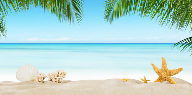 istock Tropical beach with sea star on sand, summer holiday background. 698123852