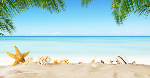 istock Tropical beach with sea star on sand, summer holiday background. 698123938