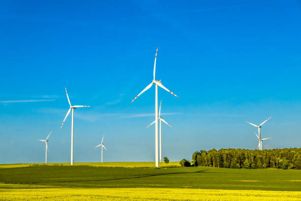 istock Renewable energy, wind turbines, biomass and forest over sunset 698126372